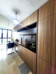 Irwell Hill Residences (D9), Apartment #471678941